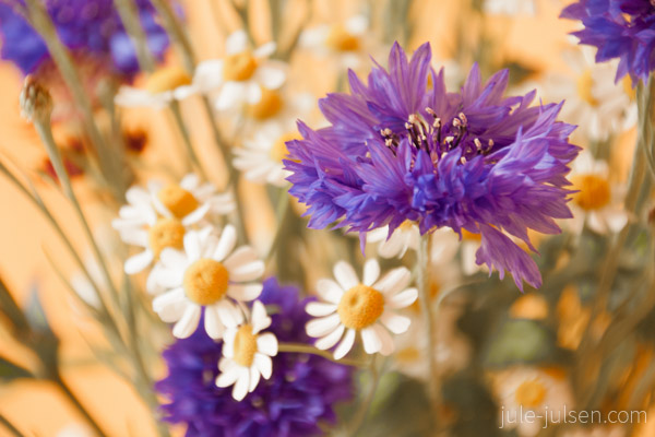 Blumenstrauss mit Kornblumen Blumenstrauss mit Kornblumen