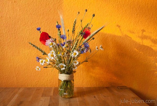 Mix aus Mohn, Margeriten, Kornblume, Roggen, Weizen Mix aus Mohn, Margeriten, Kornblume, Roggen, Weizen