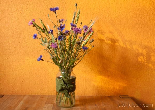 Kornblumen, Roggen, Weizen Kornblumen, Roggen, Weizen