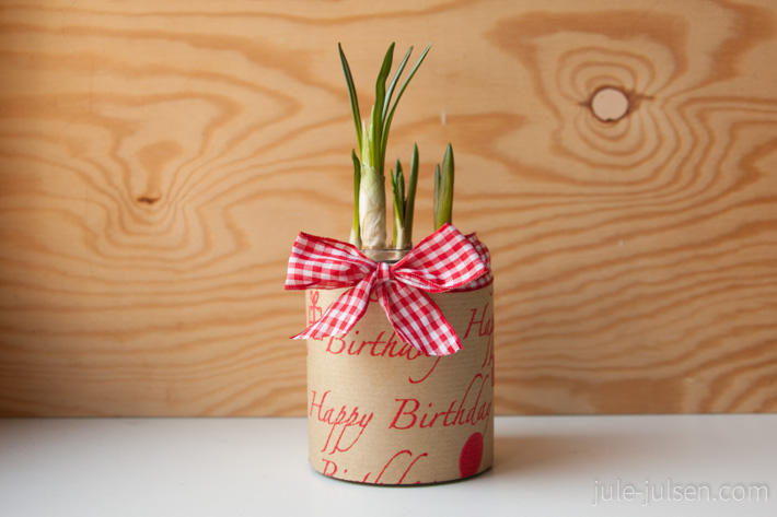 Frühblüher im Marmeladenglas mit Geschenkpapier und Schleife darum Frühblüher im Marmeladenglas mit Geschenkpapier und Schleife darum