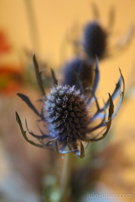 Distel