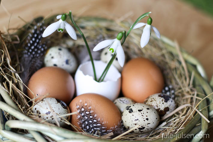 Osternest aus Heu mit Huehner- und Wachteleiern mit Schneegloeckchen und Federdeko Osternest aus Heu mit Huehner- und Wachteleiern mit Schneegloeckchen und Federdeko