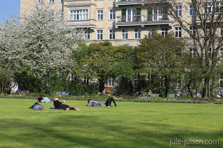 Liegewiese im Rosengarten an der Weberwiese