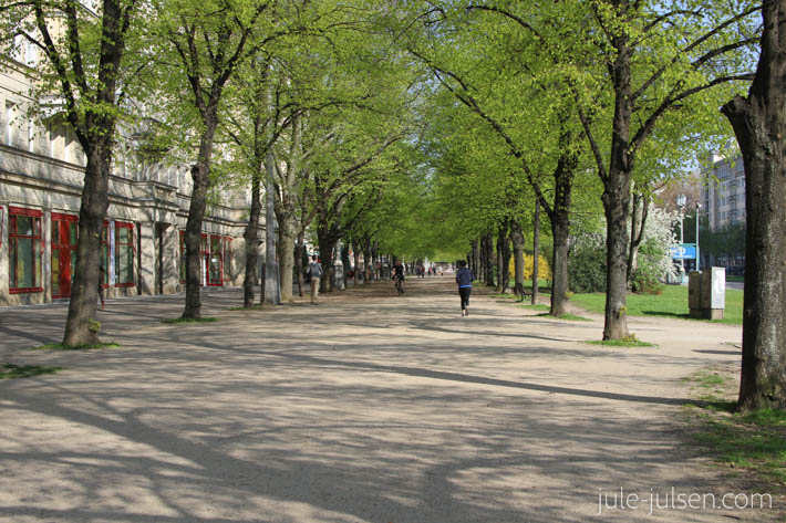 Blick auf die Lindenallee