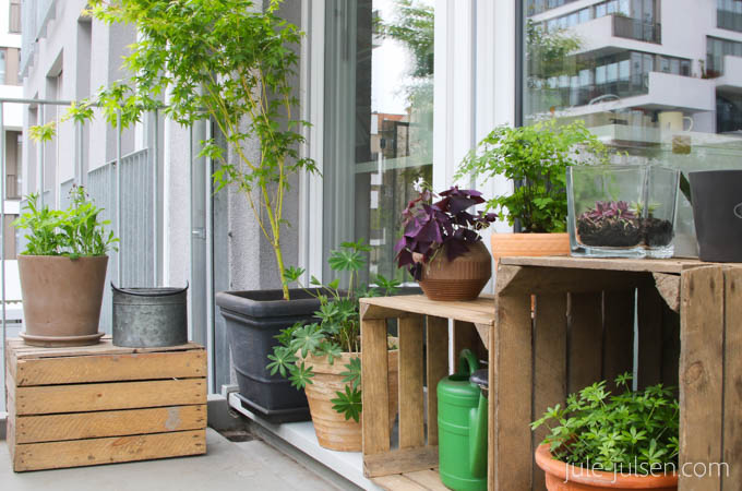 diy Balkondekoration mit Holzkisten und Blumentoepfen diy Balkondekoration mit Holzkisten und Blumentoepfen