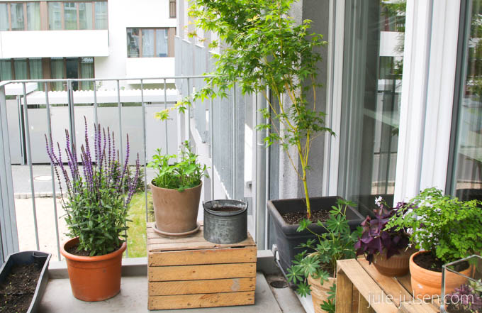 Balkondeko mit Holzkisten und Blumentoepfen Balkondeko mit Holzkisten und Blumentoepfen