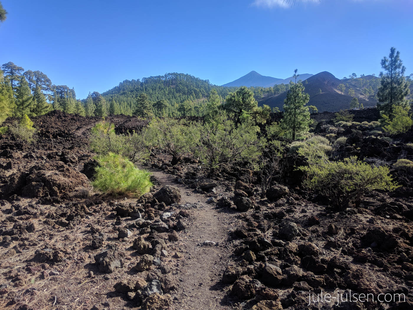 Wanderweg um den Chinyero - Lavafeld mit Blick zum Teide Wanderweg um den Chinyero - Lavafeld mit Blick zum Teide