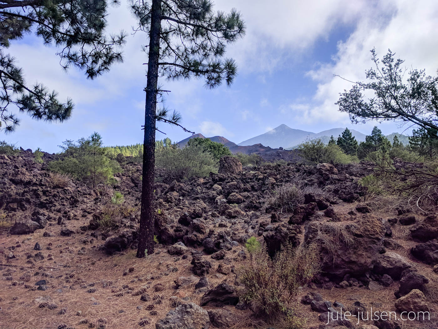 Wanderweg um den chinyero - Lavafeld mit Teideblick Wanderweg um den chinyero - Lavafeld mit Teideblick